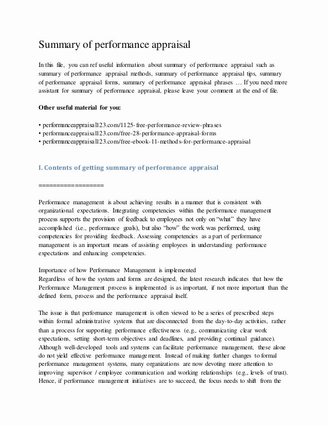 performance-summary-example