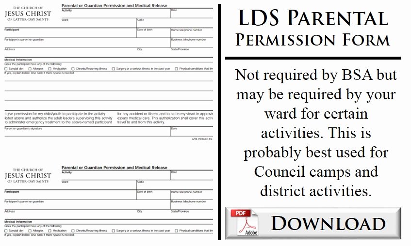 Permission Slip Lds Beautiful Lds Parental Release form Seatle Davidjoel