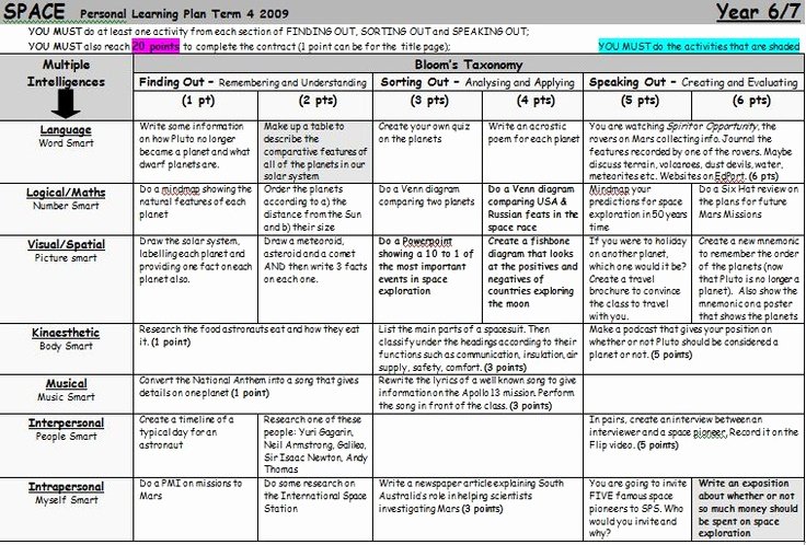 Personal Learning Plan Example New Space Personal Learning Plan A Gardner S Mulitple