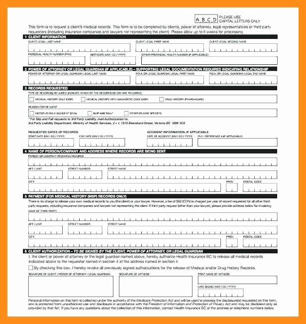 Personal Medical History form Template Fresh 12 13 Personal Health Records Template