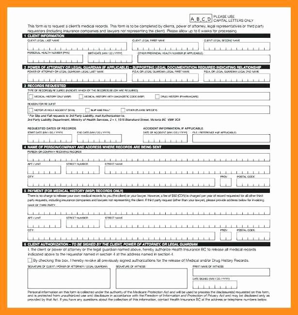 Personal Medical History form Template Fresh 12 13 Personal Health Records Template