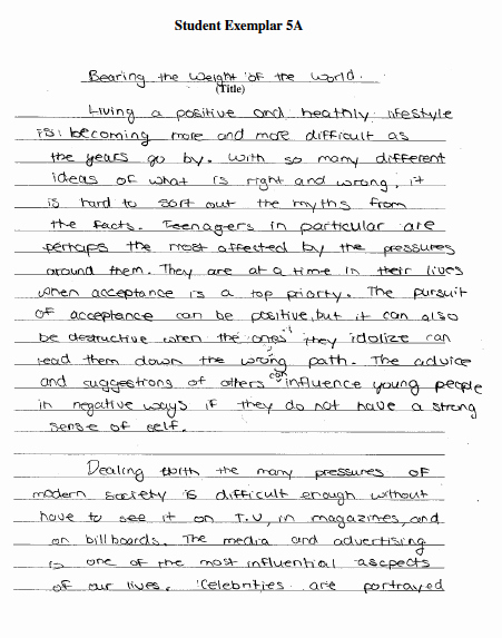Personal Narratives Examples College Fresh High School Student Essays Great College Essay