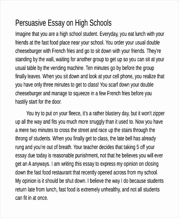 Persuasive Essay Outline High School Luxury 5 Persuasive Essay Examples &amp; Samples Pdf Doc