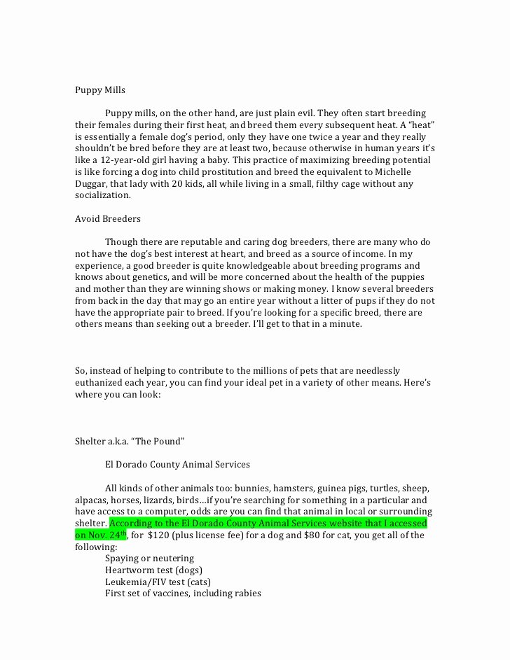 Persuasive Speech Outline Animal Adoption Luxury Persuasive Speech