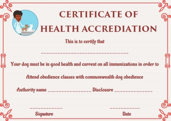 Pet Health Certificate Template Awesome Dog Health Certificate for Travel Templates