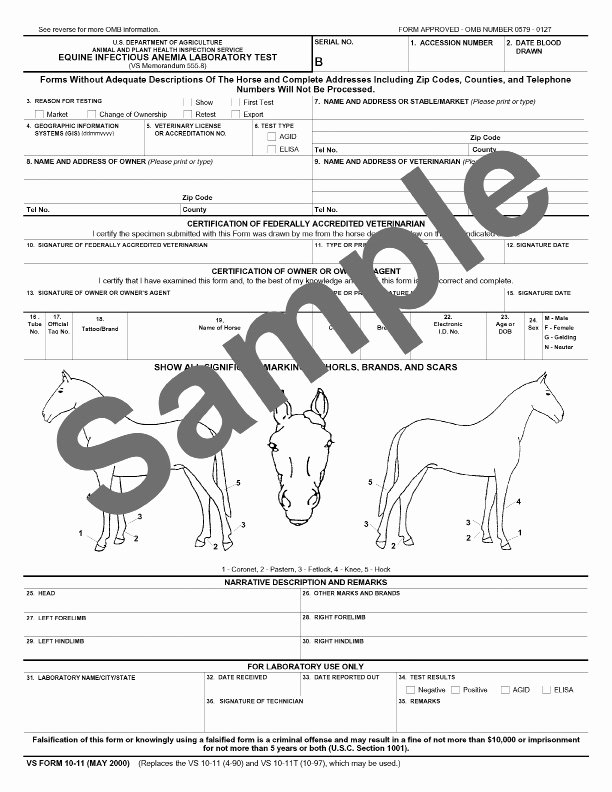 Pet Health Certificate Template Beautiful Coggins Papers and Health Certificates… What’s the Deal