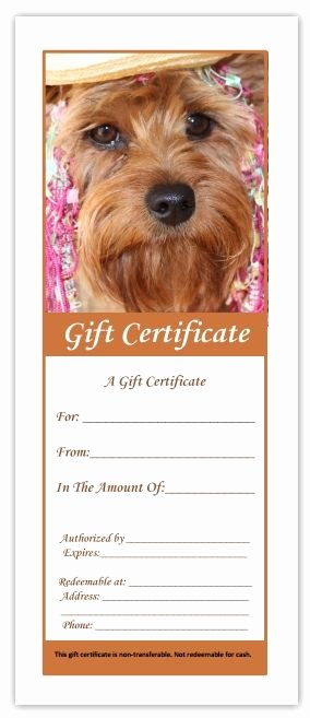 Pet Health Certificate Template Elegant Printable Pdf Pet Grooming Gift Certificates &amp; Display