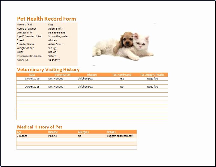 Pet Health Certificate Template Fresh Ms Excel Pet Health Record Table Template Word Templates