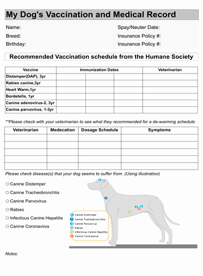 Pet Health Certificate Template Inspirational Dog Vaccination Record