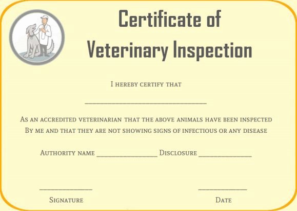 Pet Health Certificate Template Inspirational Pet Health Certificate Template 9 Word Templates to