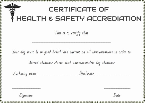 Pet Health Certificate Template Lovely Pet Health Certificate Template 9 Word Templates to