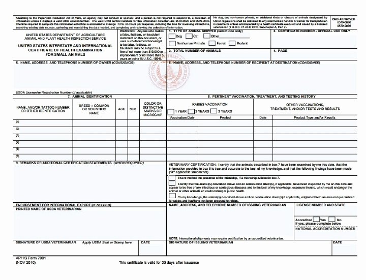 Pet Health Certificate Template New 7 Free Health Certificate Templates Pdf