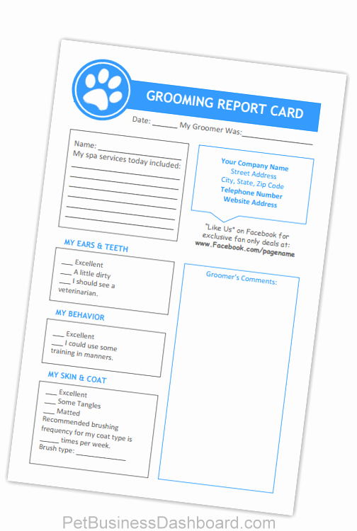 Pet Report Card Template Beautiful Dog Grooming Business Templates