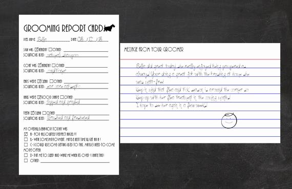 Pet Report Card Template Best Of Grooming Report Card Template for Index Cards by