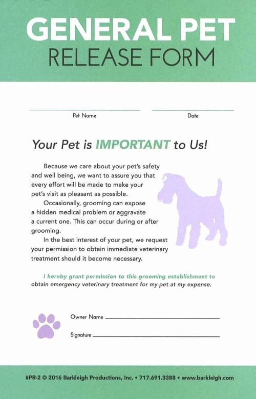 Pet Report Card Template Elegant 37 Best Dog Grooming Images On Pinterest