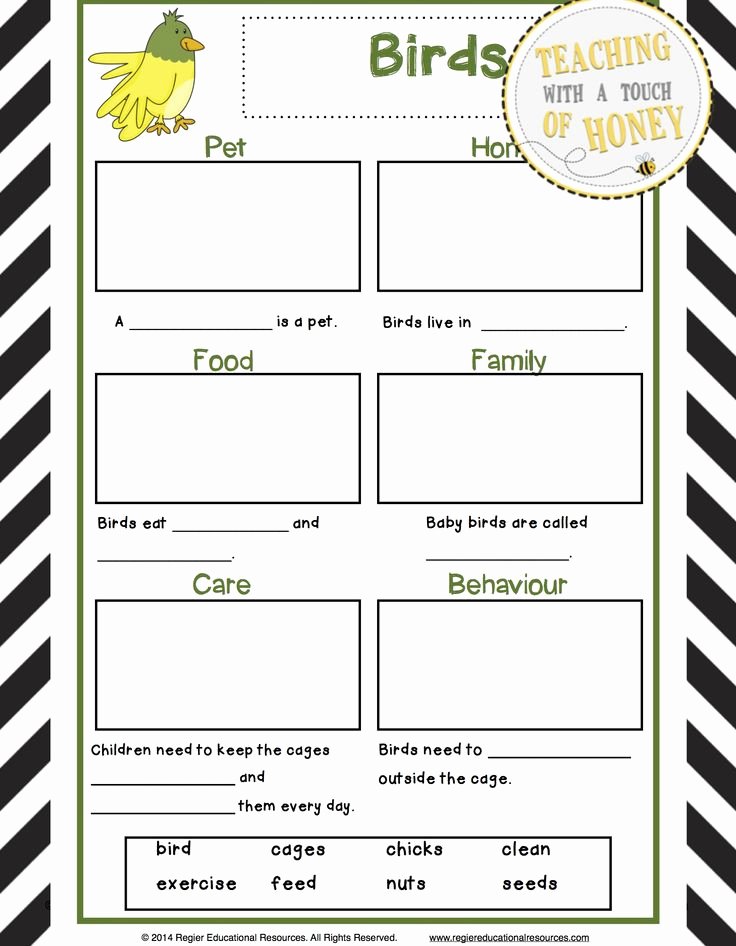 Pet Report Card Template Luxury 212 Best Pet Reports Images On Pinterest