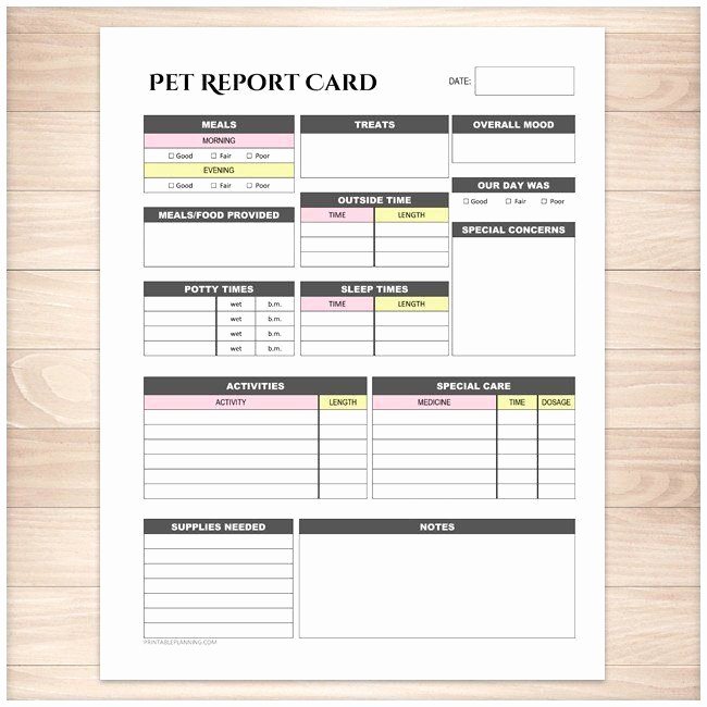 Pet Report Card Template Unique Pet Report Card Daily Care Sheet Pink &amp; Yellow