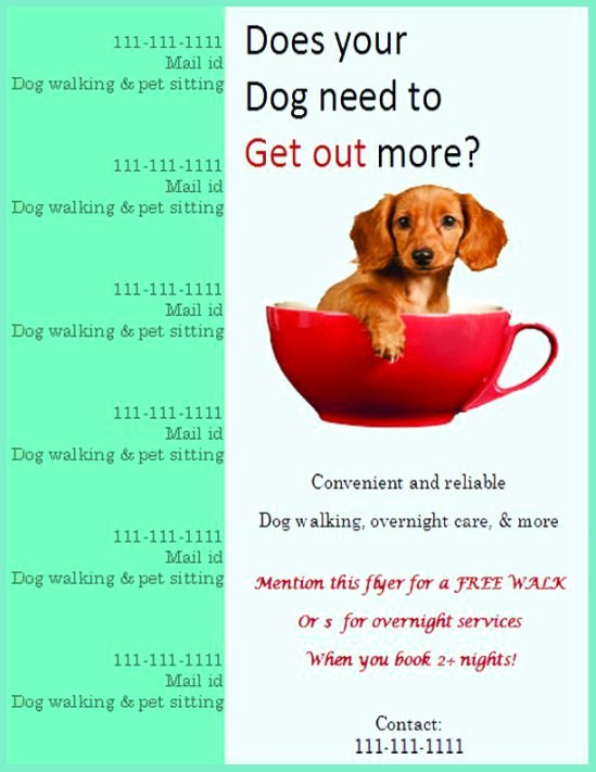 Pet Sitting Flyer Template Best Of Dog Walking Flyer Certificate Templates