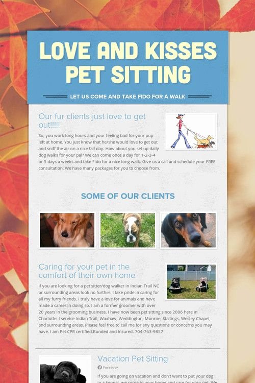 Pet Sitting Flyer Template Elegant 29 Best Images About Dog Walking On Pinterest