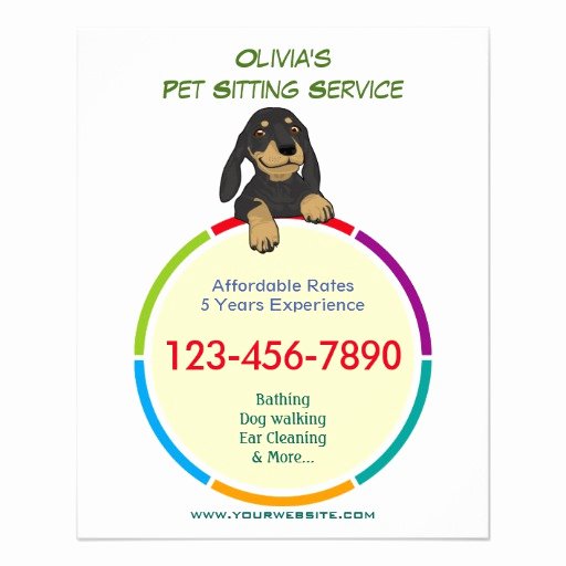 Pet Sitting Flyer Template Free Best Of Color Ring Pet Sitter Promotional Flyer