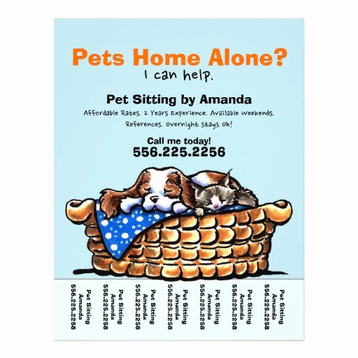 Pet Sitting Flyer Template New Pet Sitter Sitting Personalized Tear Sheet Custom Flyer