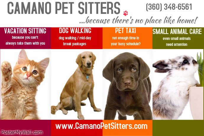 Pet Sitting Flyer Template Unique Pet Sitter Poster Template