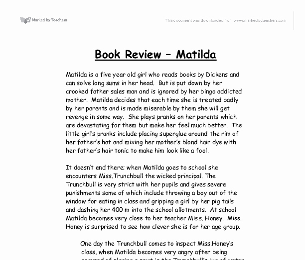 Picture Book Analysis Essay Best Of Book Reviews Examples Google Search