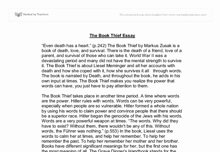 Picture Book Analysis Essay Luxury the Book Thief University Linguistics Classics and