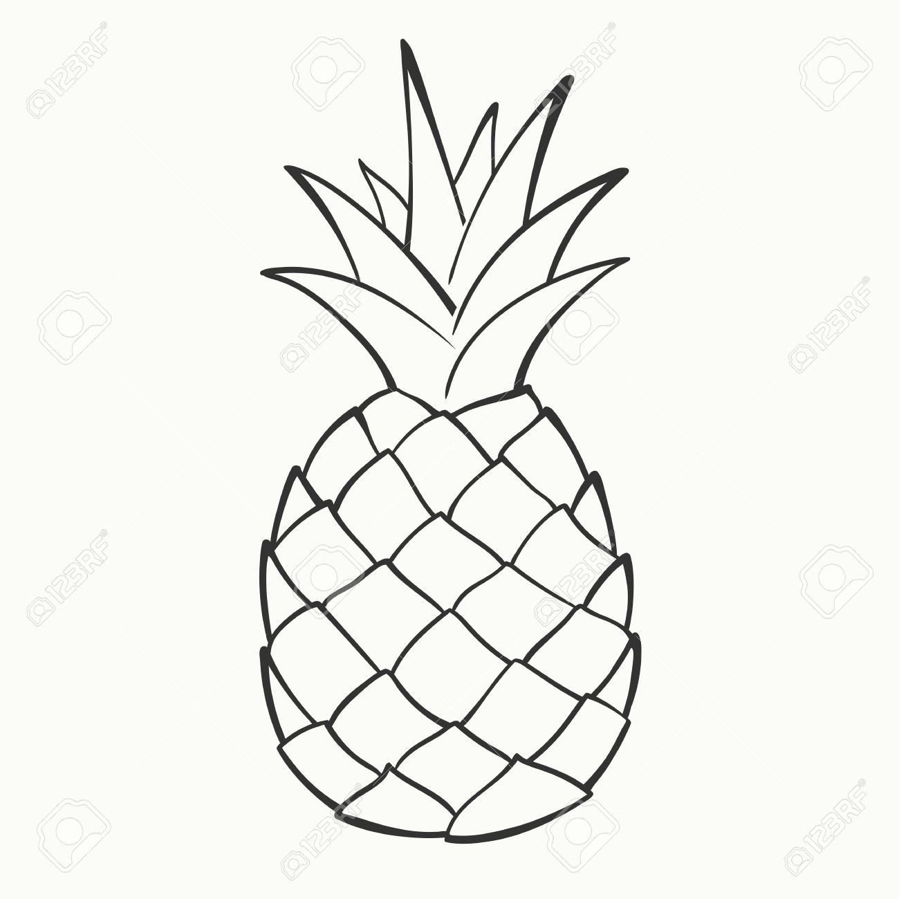 Pineapple Leaf Template Awesome Stock Vector In 2019 E S Room