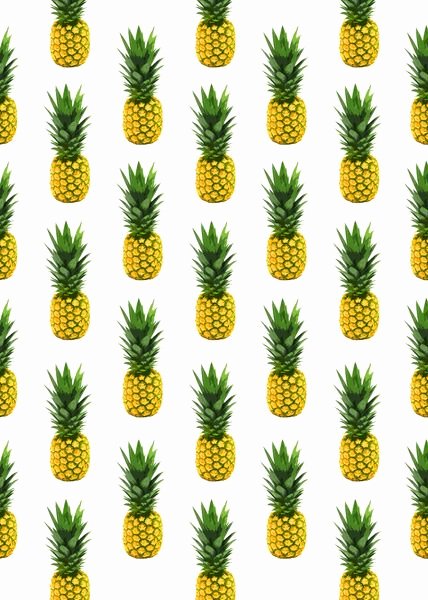 Pineapple Leaf Template Fresh 17 Best Ideas About Pineapple Pattern On Pinterest