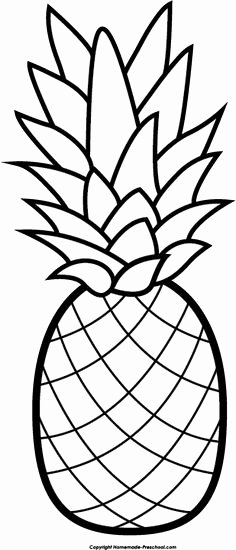 Pineapple Leaf Template Fresh Pineapple Pattern Use the Printable Outline for Crafts