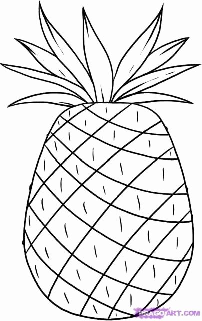 Pineapple Leaf Template Luxury المـكتبـة العلمية موسوعة الرسم والرسامين درس رسم