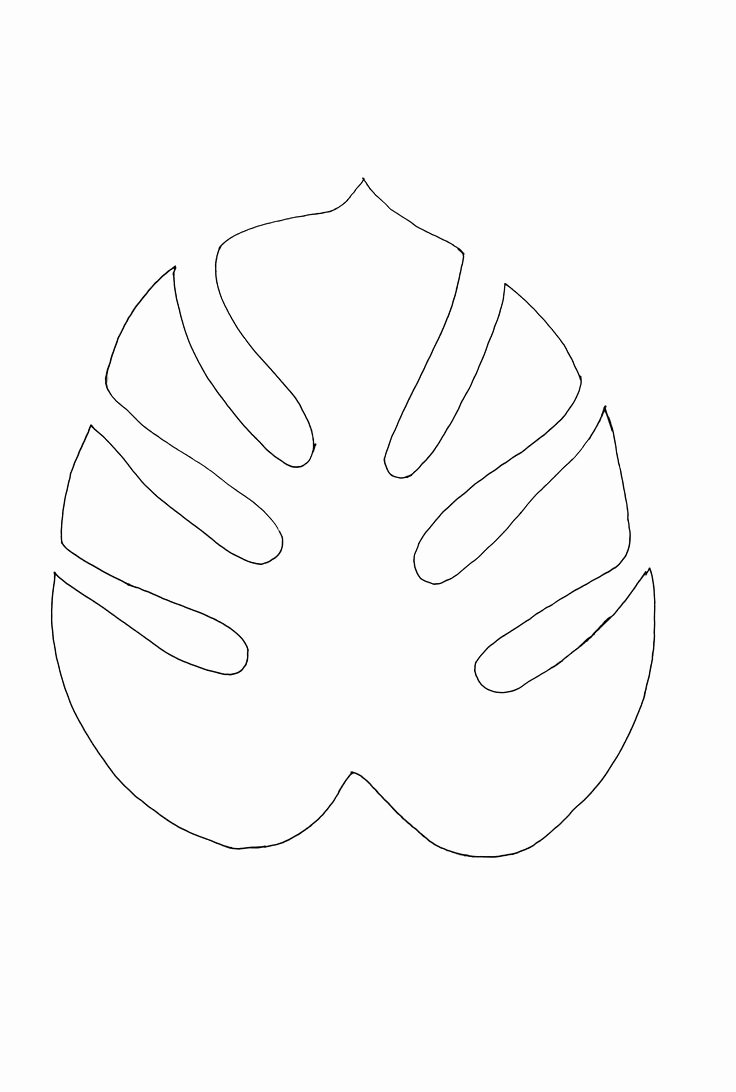 Pineapple Leaves Template Best Of 25 Best Ideas About Leaf Stencil On Pinterest