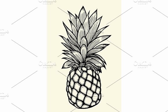 Pineapple Leaves Template Elegant Pineapple Leaf Template Designtube Creative Design Content