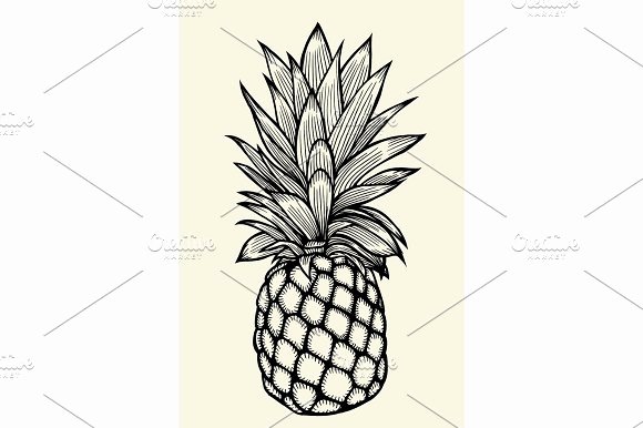 Pineapple Leaves Template Elegant Pineapple Leaf Template Designtube Creative Design Content