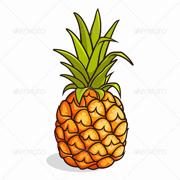 Pineapple Leaves Template Elegant Pineapple Leaf Template Tinkytyler Stock S