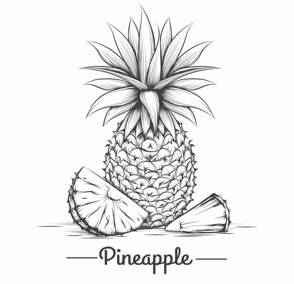 Pineapple Leaves Template Inspirational Pineapple Leaf Template Designtube Creative Design Content