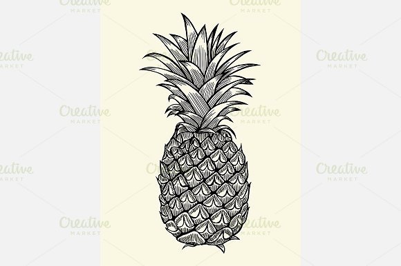 Pineapple Leaves Template Unique Pineapple Leaf Template Designtube Creative Design Content