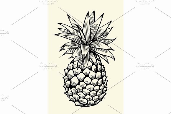 Pineapple Leaves Template Unique Pineapple Leaf Template Designtube Creative Design Content