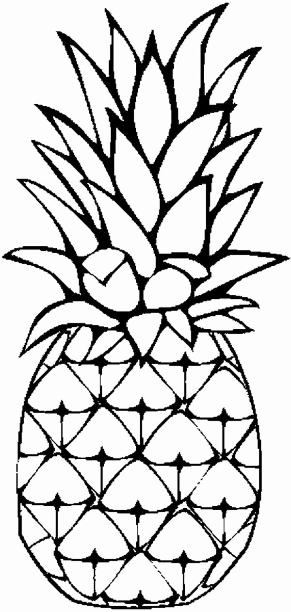 Pineapple Template Printable Beautiful Pineapple Coloring Page