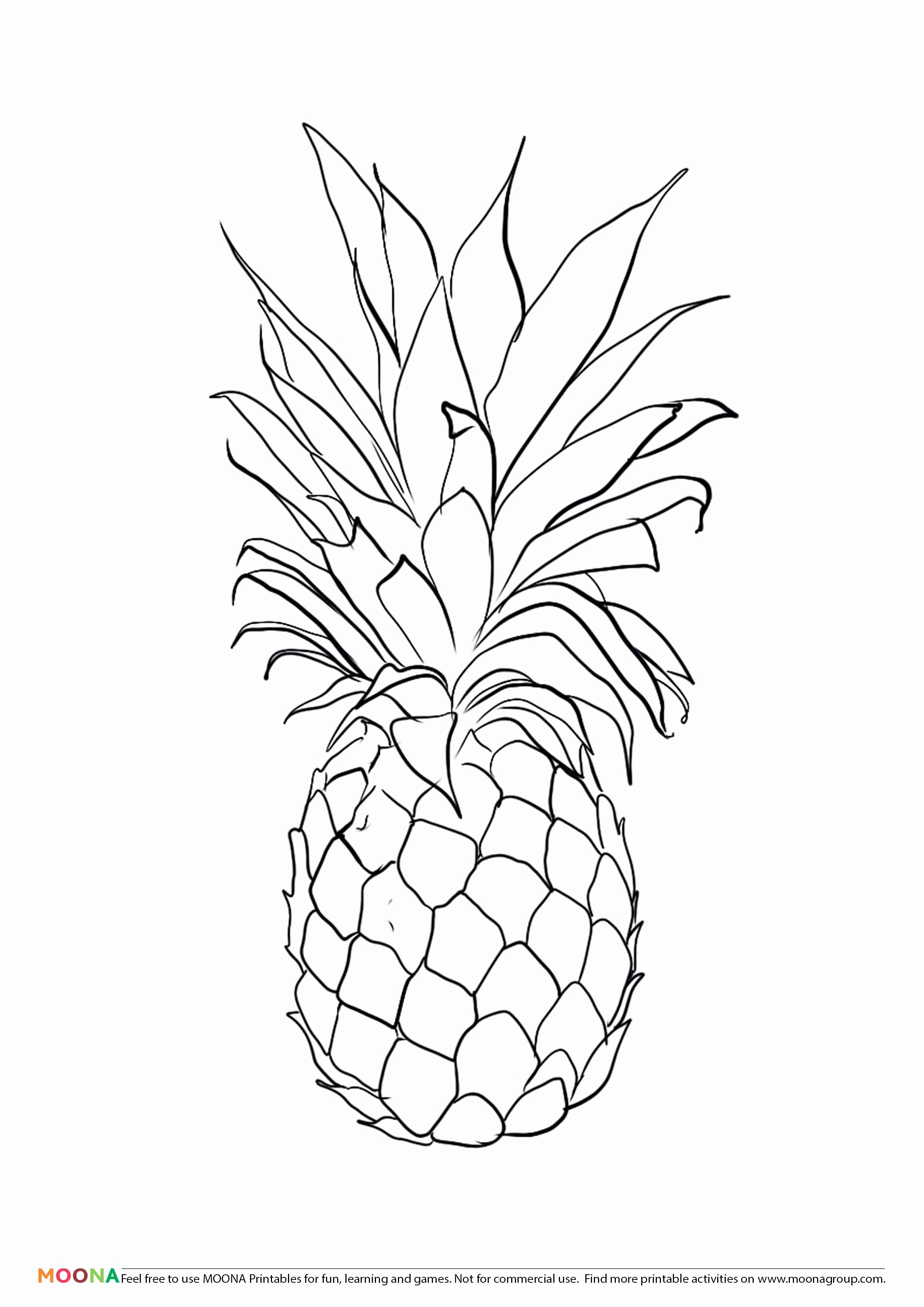 Pineapple Template Printable Elegant Free Printable Coloring Pages for toddlers and