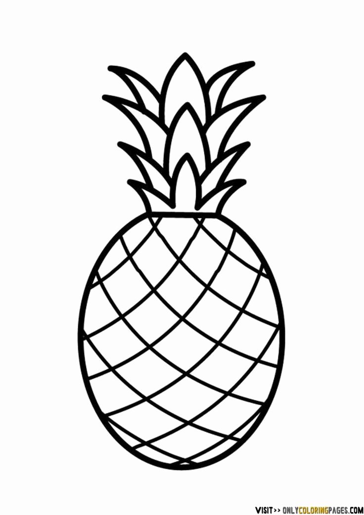 Pineapple Template Printable Fresh Best 25 Pineapple Drawing Ideas On Pinterest