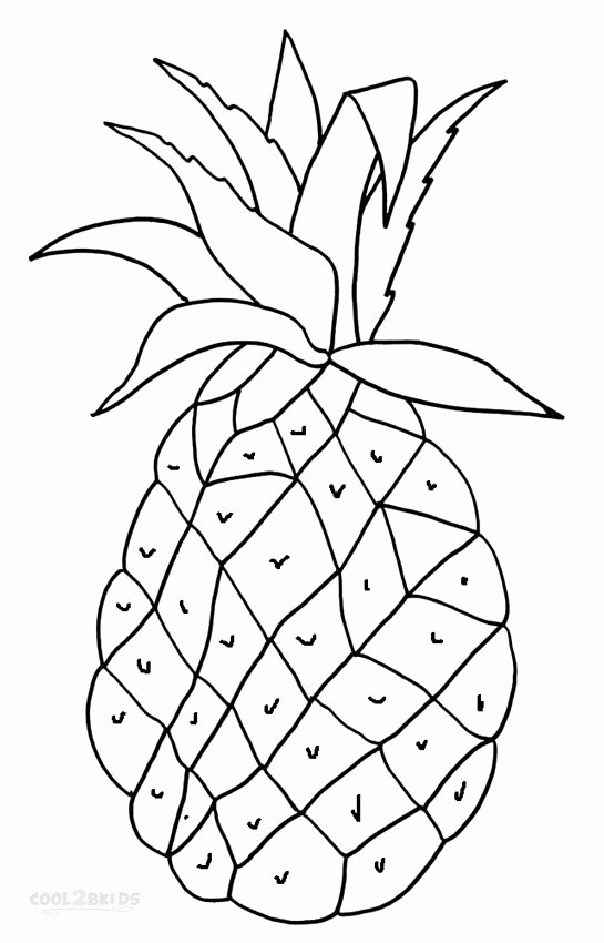 Pineapple Template Printable New Pineapple Coloring Pages