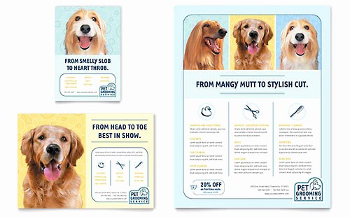 Playbill Template for Mac Lovely Pet Grooming Service Datasheet Template Design