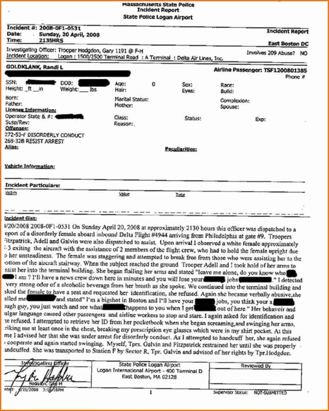 Police Investigation Report Best Of Police Blotter Sample Pdf Report Tagalog In Nigeria