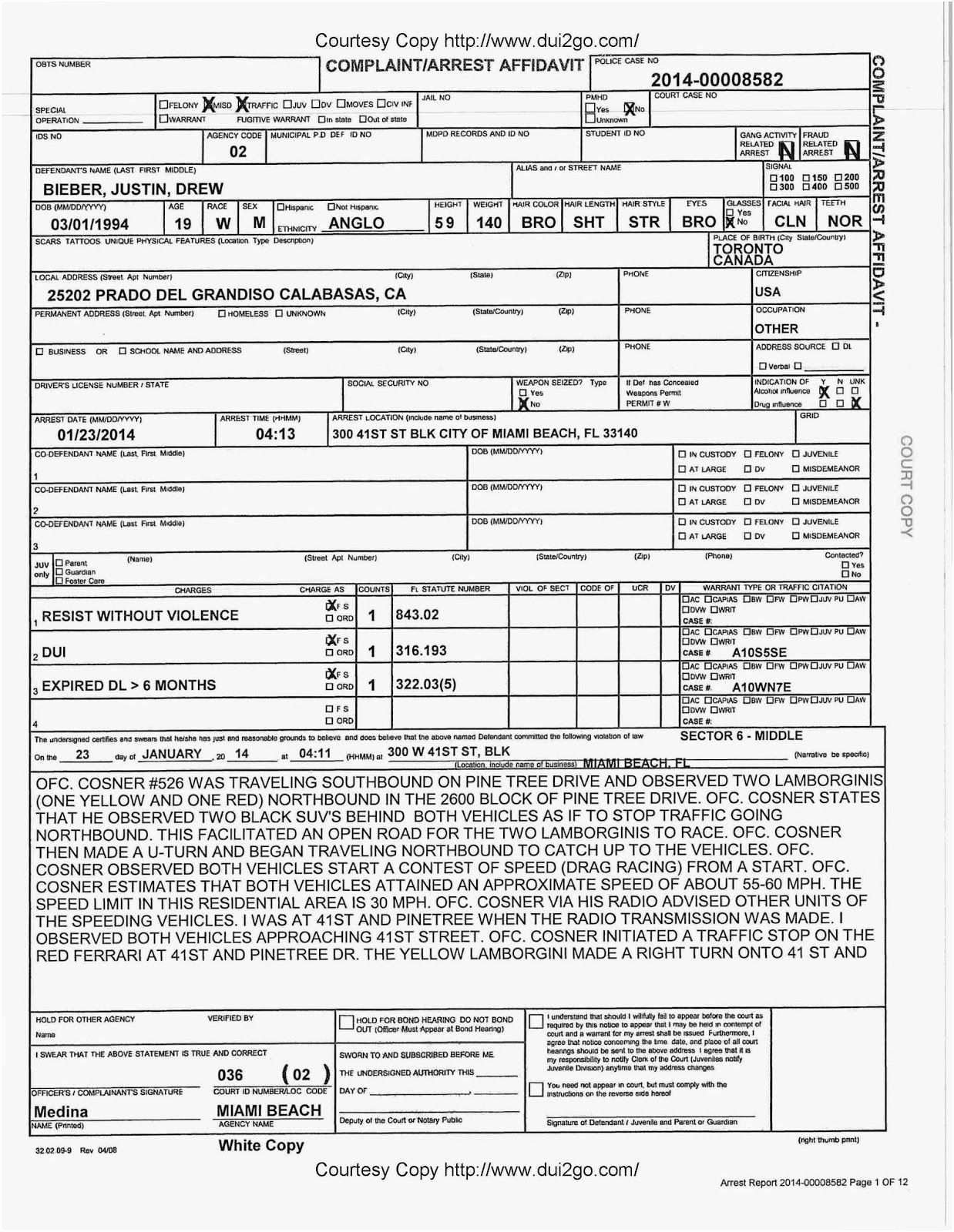 Police Investigation Report New Investigation Report Example Heritage Spreadsheet