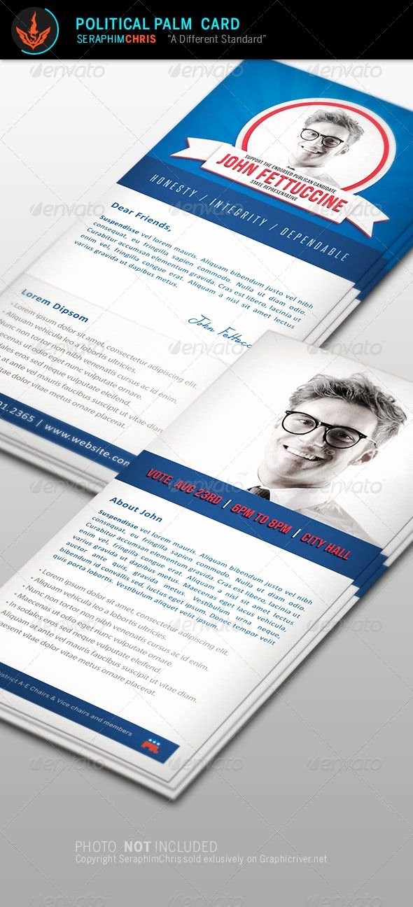 Political Mailers Template Inspirational 14 Best Political Design Images On Pinterest