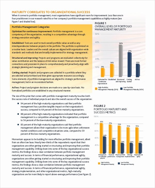 Portfolio Management Template Unique Sample Project Management 11 Documents In Word Pdf