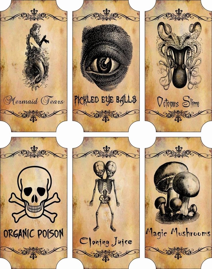 Potion Label Template Elegant Details About Vintage Inspired Halloween Sepia 6 Large