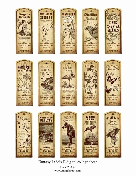 Potion Label Template New Fantasy Magic Potion Labels Ii Digital Collage Sheet 15